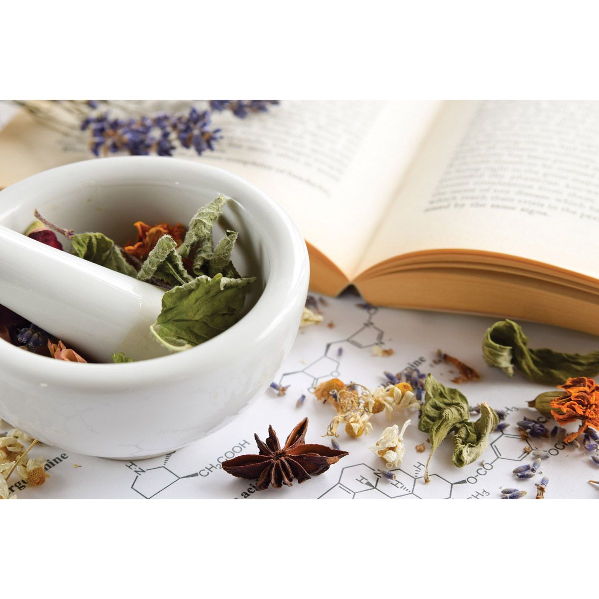 MORTAR / PESTLE 4.5 IN