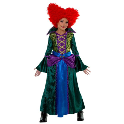 Hocus Pocus Inspired Bossy Witch Girl Costume