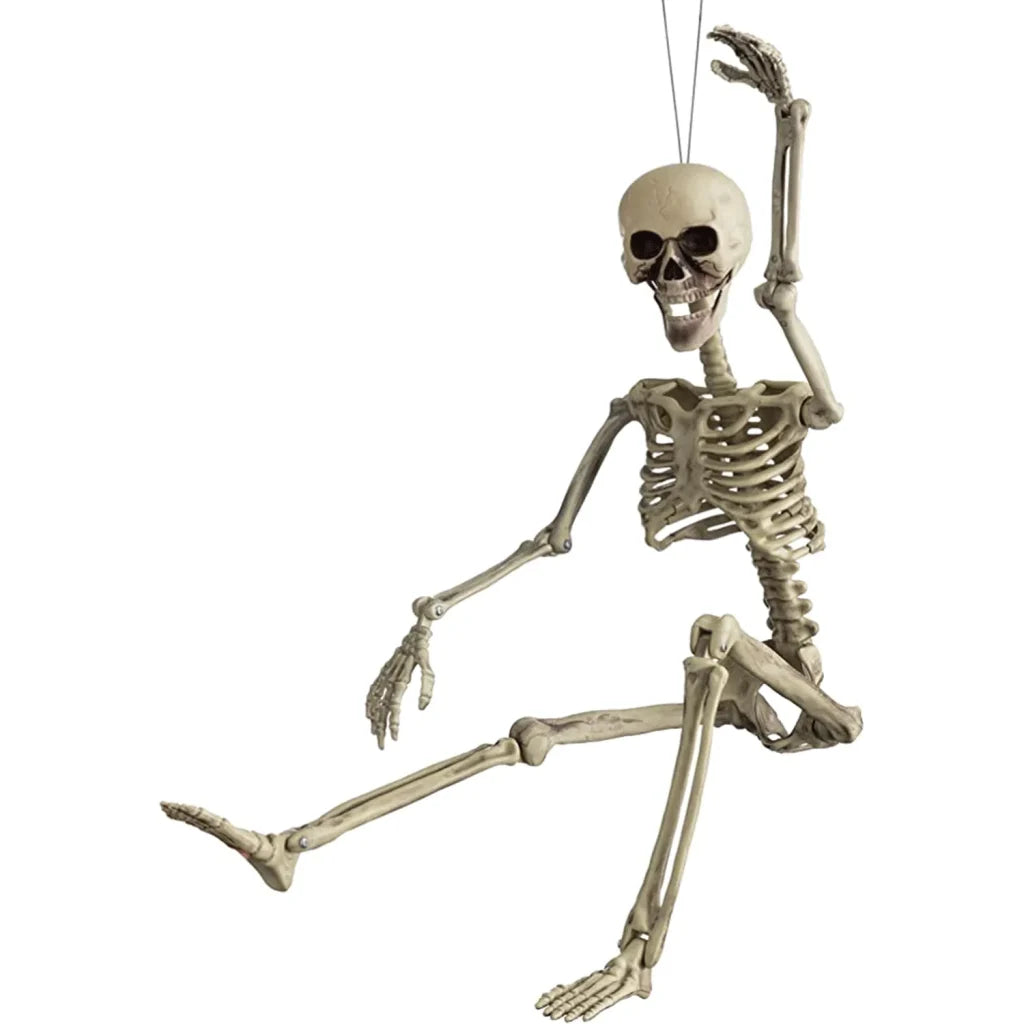 36" Posable Skeleton