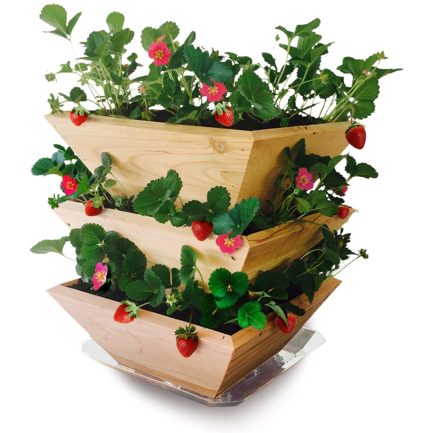 Strawberry Patch Tower