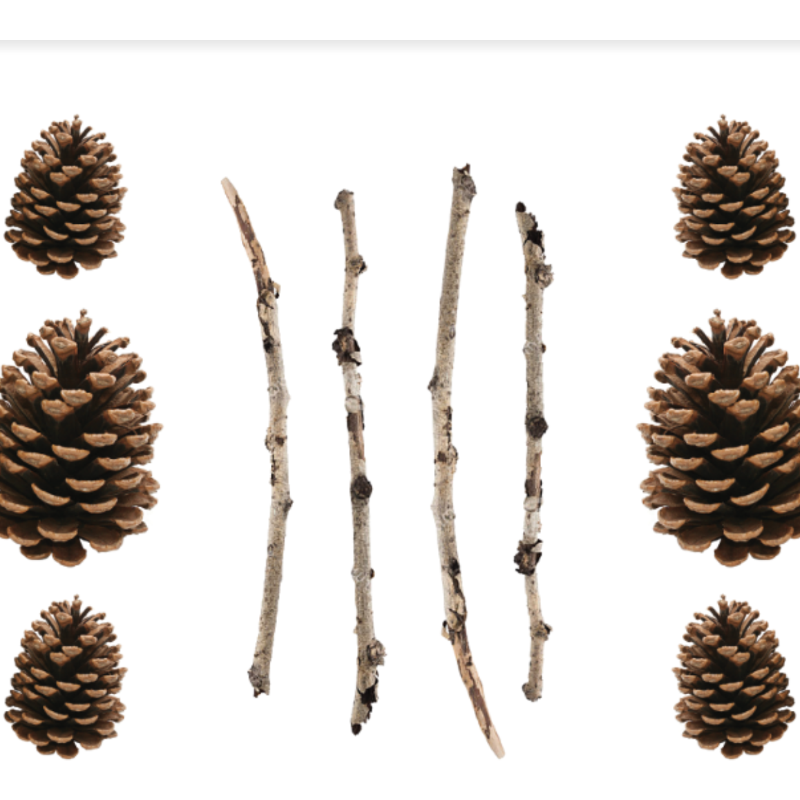 Pine Cones Paper Placemat