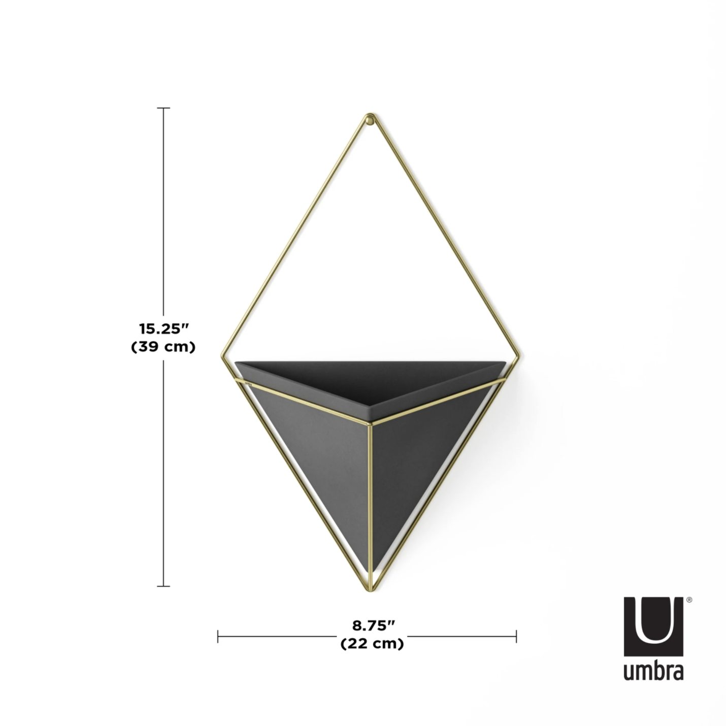 Trigg Large Wall Vessel Black-Brass