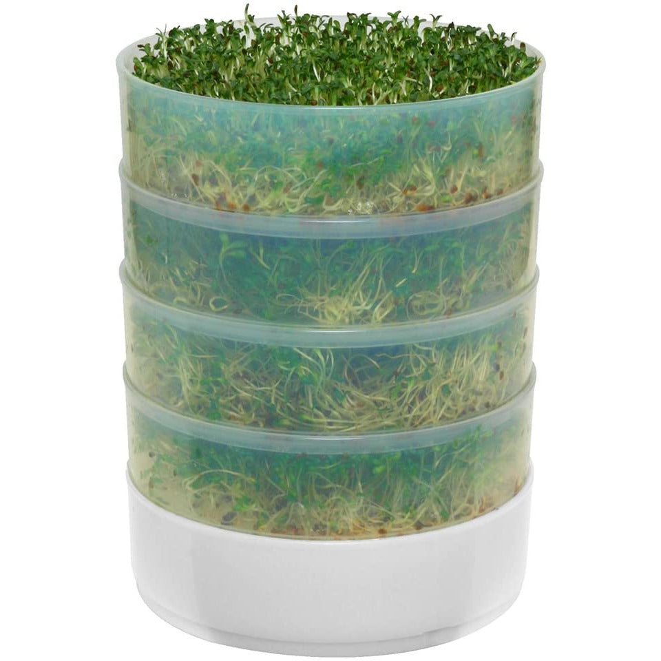 Crop 4 Kitchen Sprouter