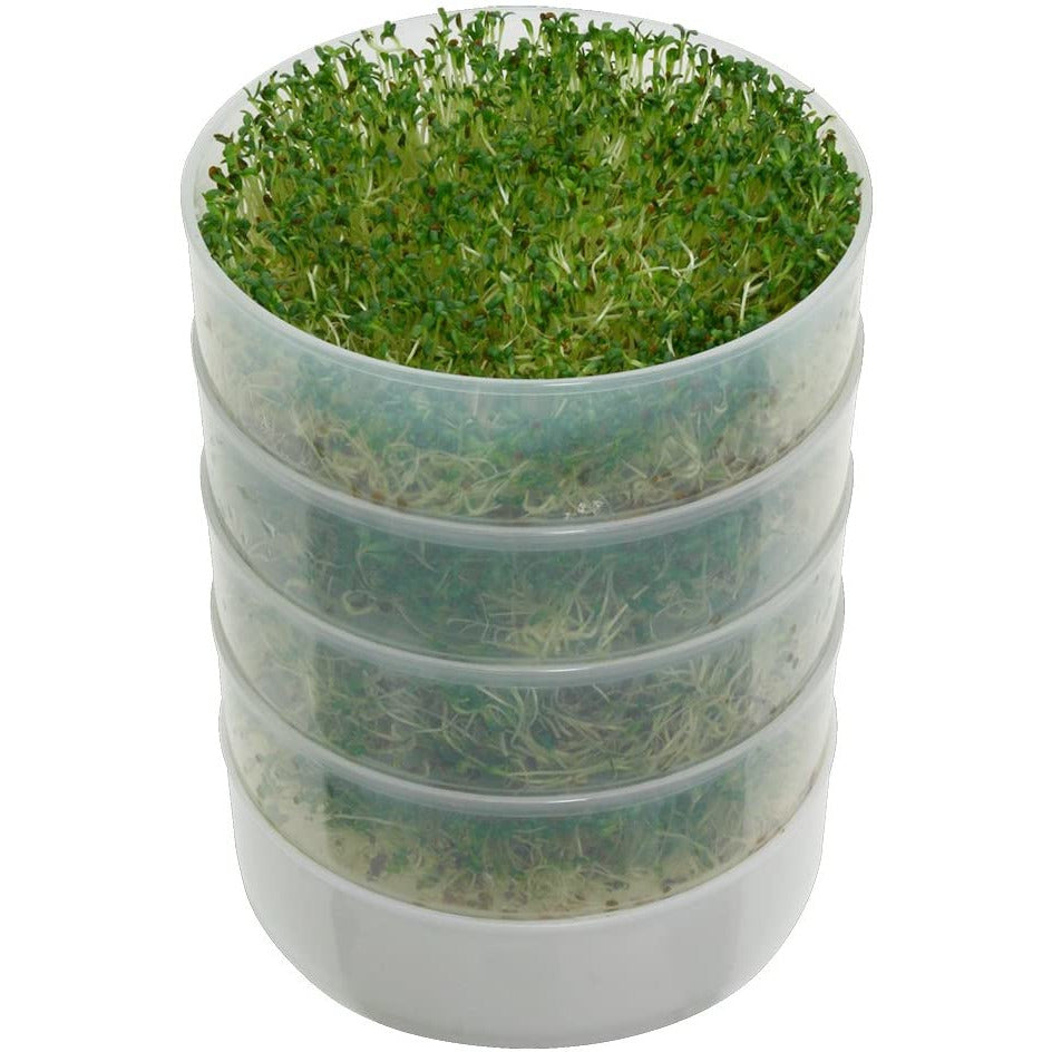 Crop 4 Kitchen Sprouter