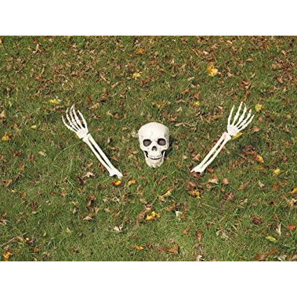 BURIED ALIVE SKELETON Parts