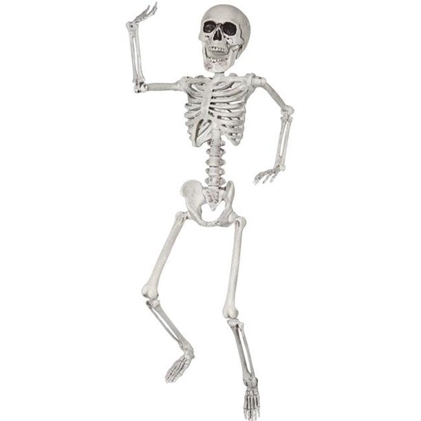 24" Skeleton