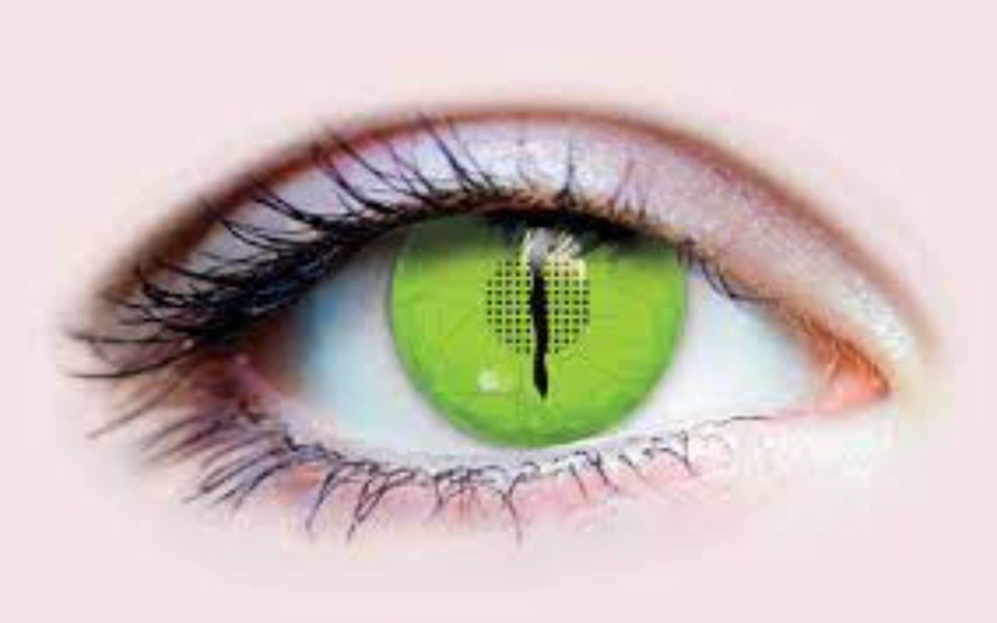 JURASSIC III CONTACT LENSES