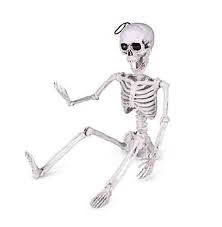 24" Skeleton