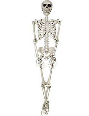 Plastic 36 IN Skeleton
