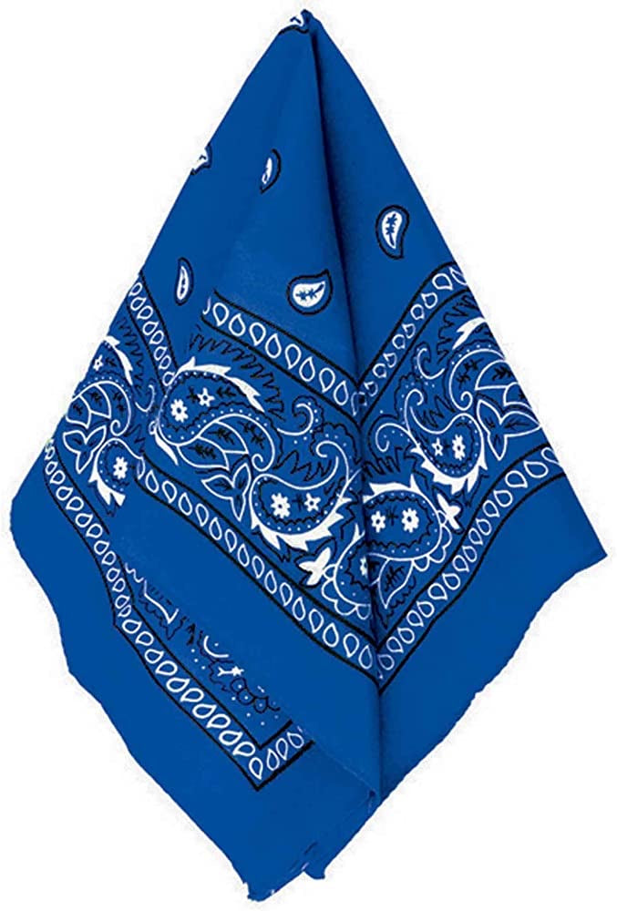 Blue Bandana