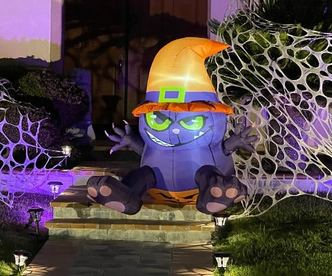 5FT Tall Cat Sitting on Pumpkin