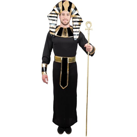 El hombre adulto rey de El Cairo