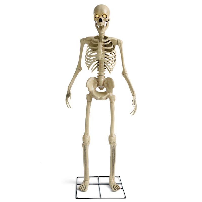 5 FT Animated Talking Skeleton