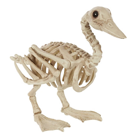 Skeleton Duck Small  4" X 7.75" X 6"
