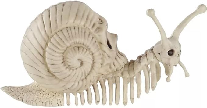 Skeleton Snail 3.75x8.5x4"
