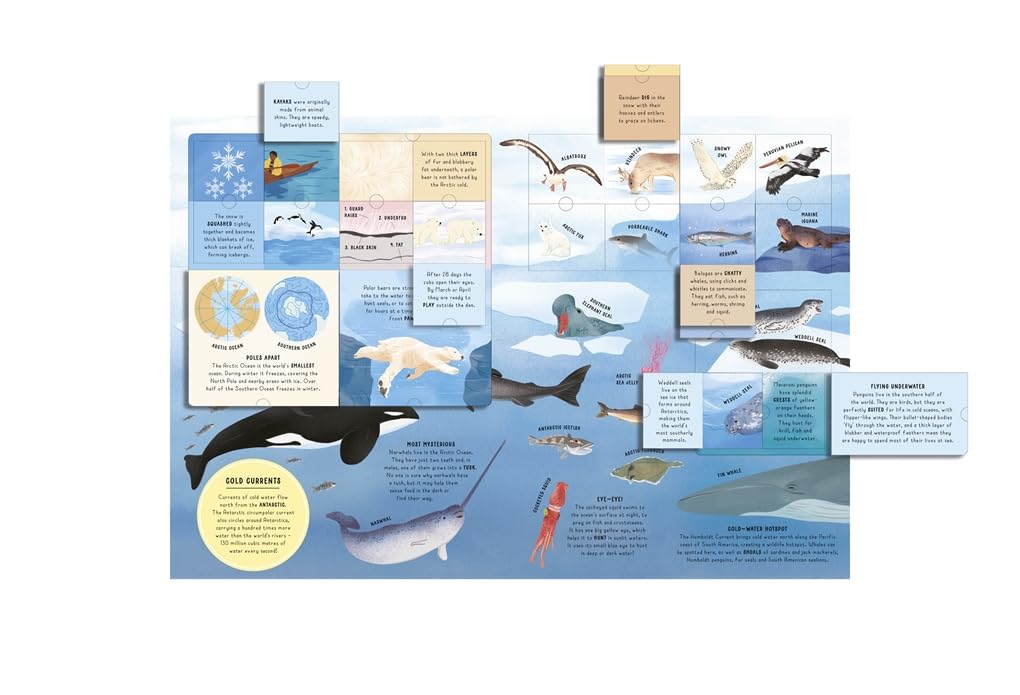 Ultimate Lift the Flap Encyclopedia of Oceans
