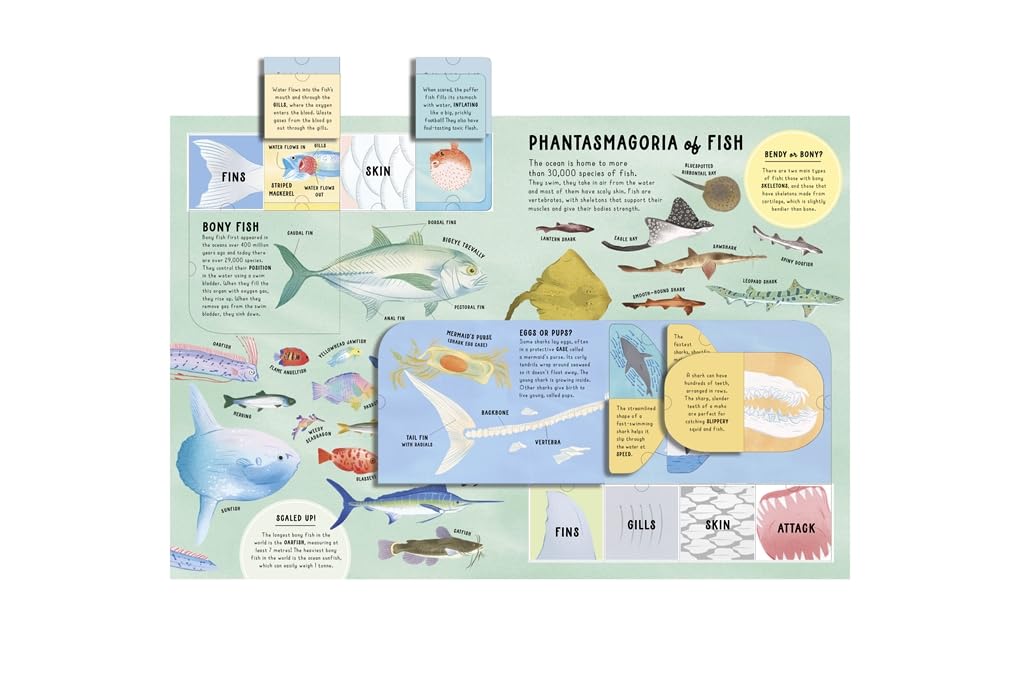 Ultimate Lift the Flap Encyclopedia of Oceans