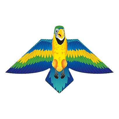 Blue Macaw 54"