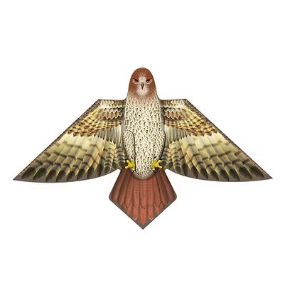 Hawk 54" Kite