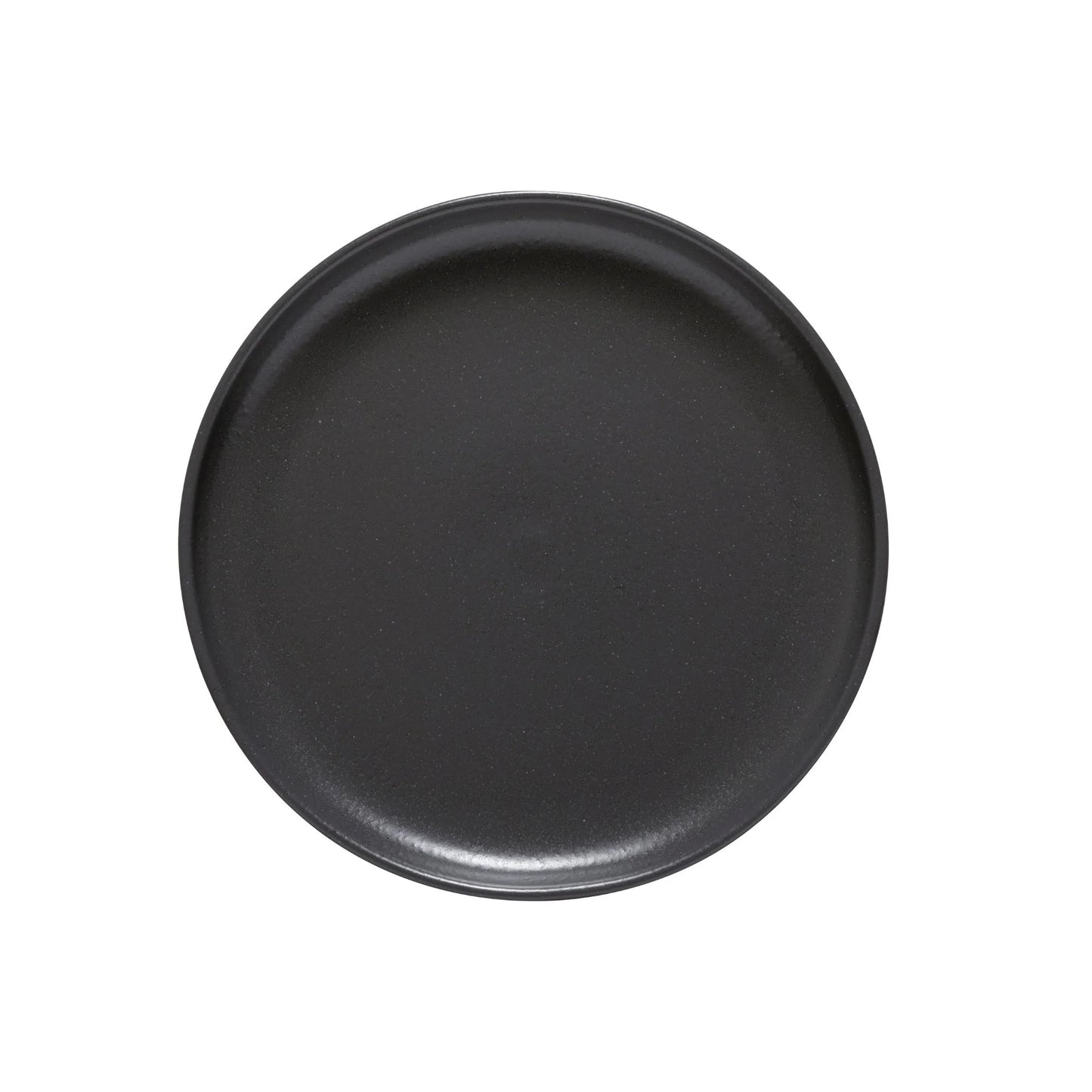 Dinner Plate Pacifica Seed Grey 11"