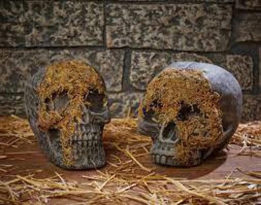Moss Covered Skull