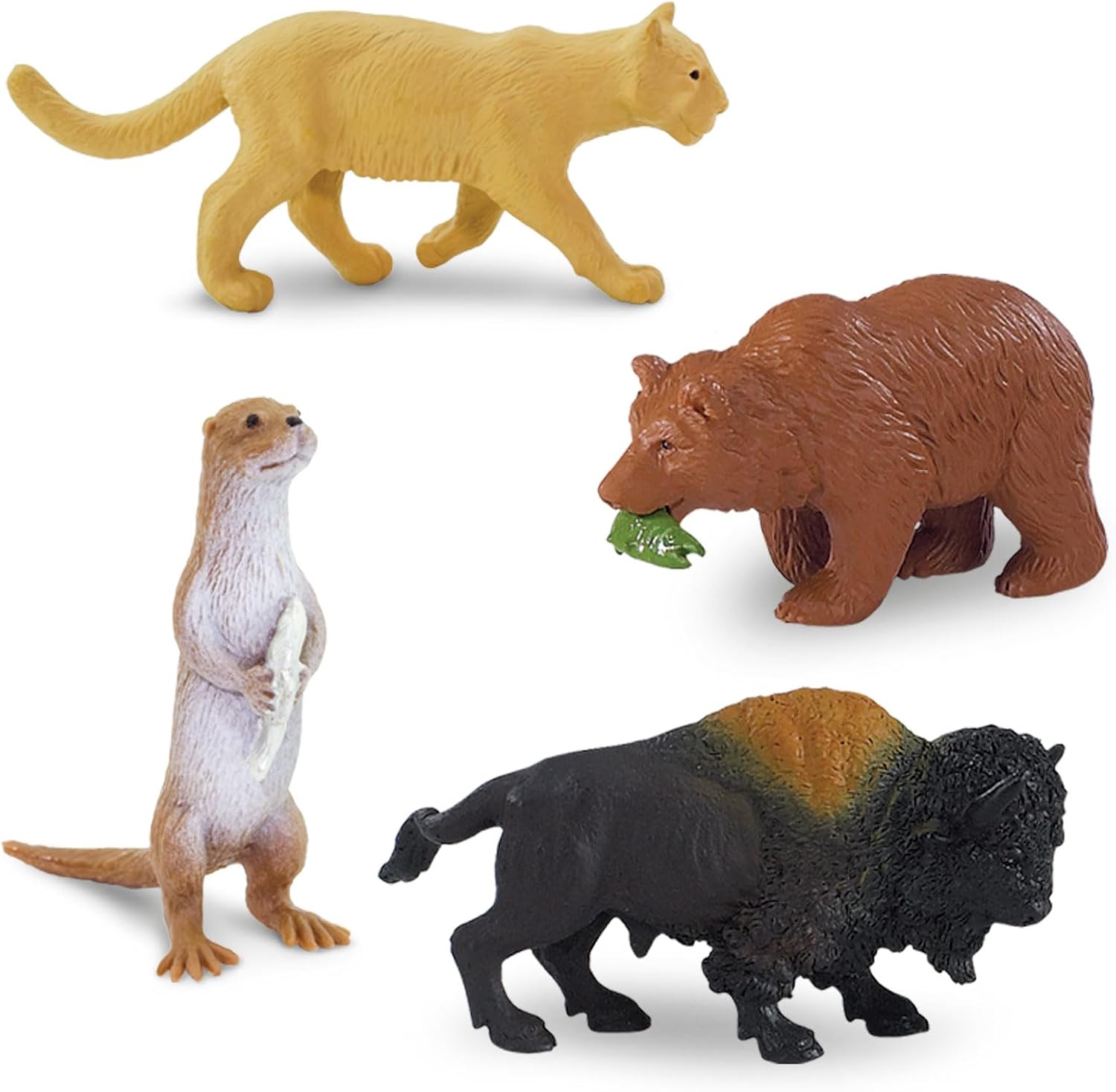 North American Wildlife
