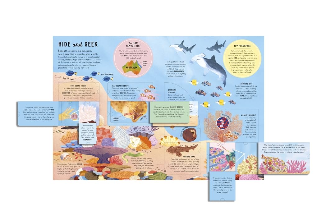Ultimate Lift the Flap Encyclopedia of Oceans