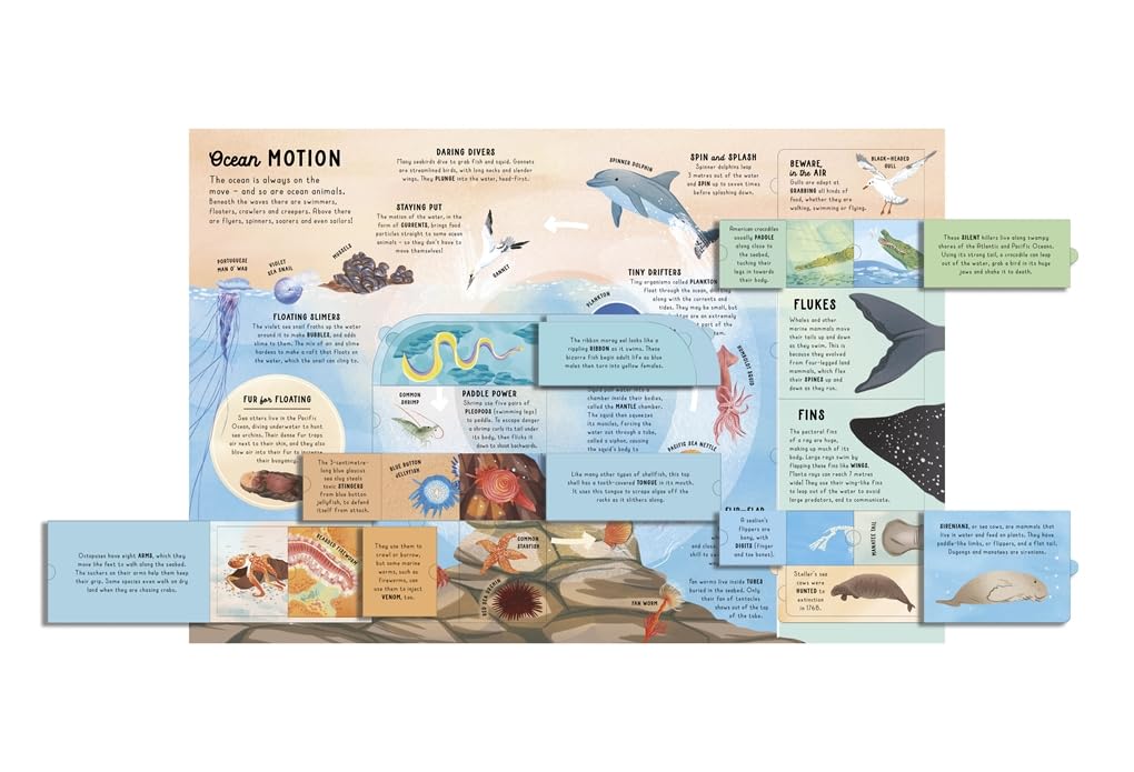 Ultimate Lift the Flap Encyclopedia of Oceans