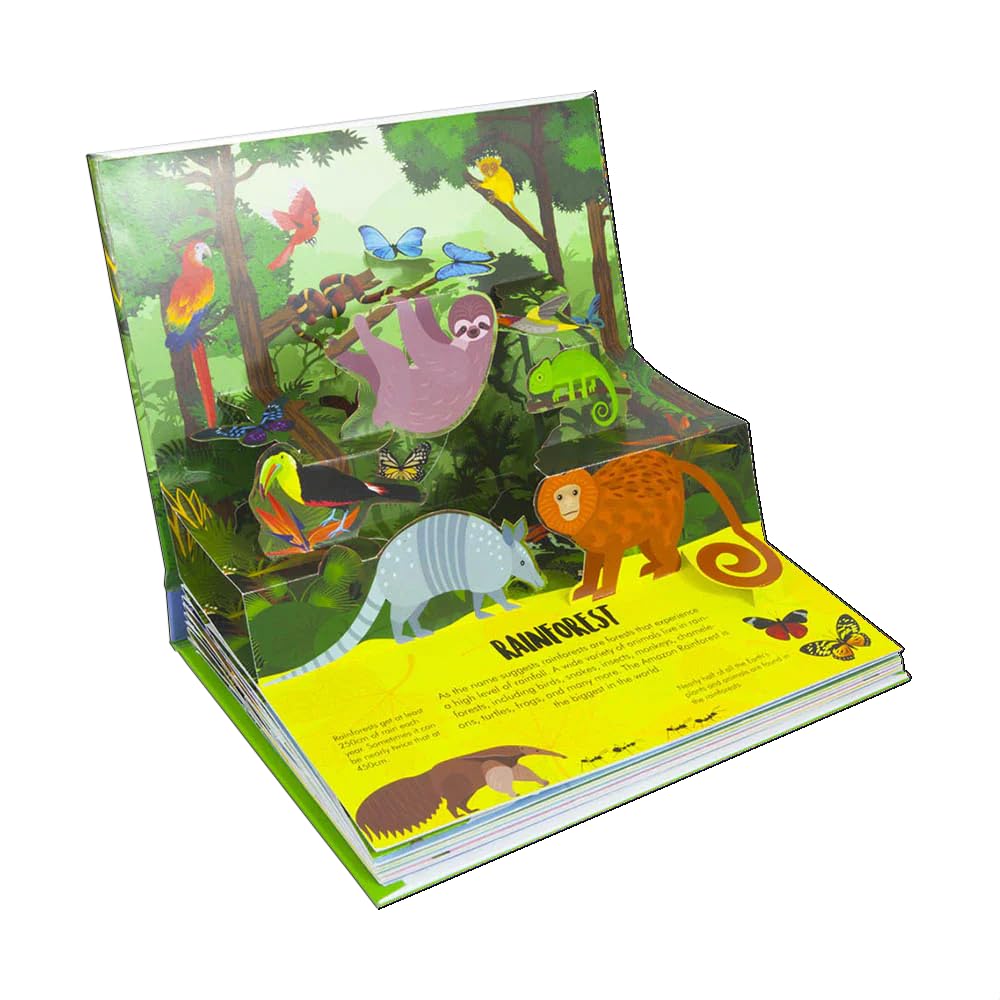 Nature Pop-Up! Forests
