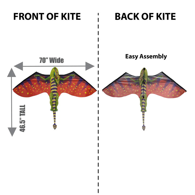 FantasyFliers Pterodactyl Nylon Kite, 70 Inches Wide