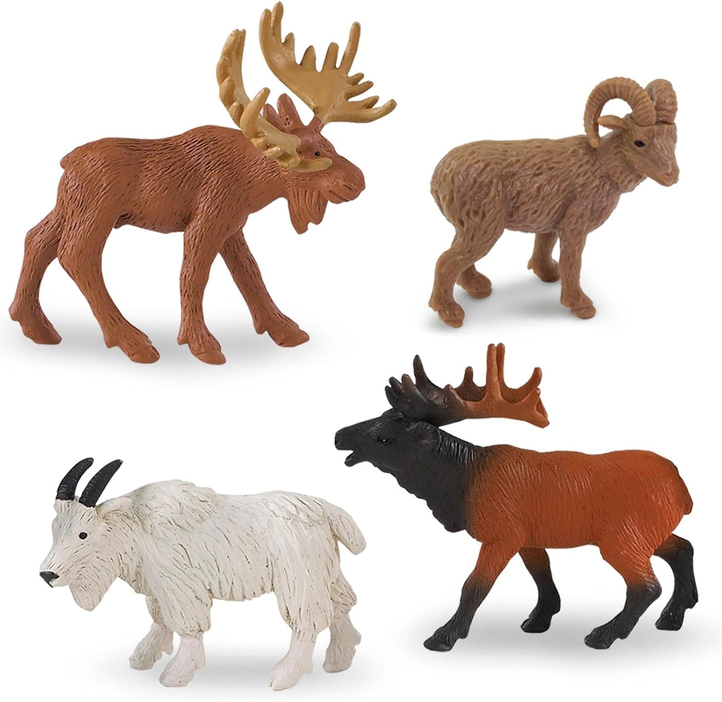 North American Wildlife