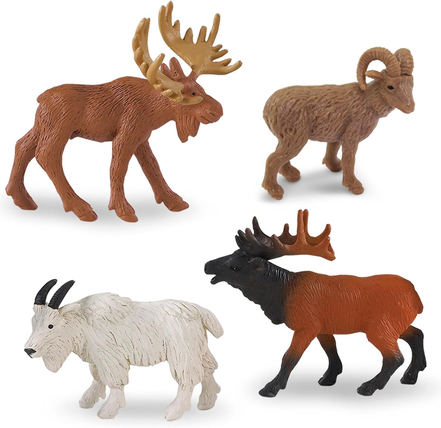 North American Wildlife