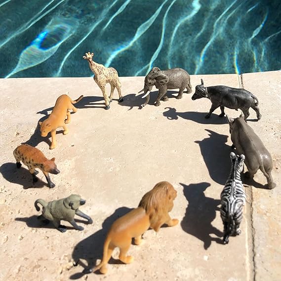 South African Animals