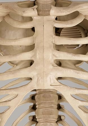 8' Towering Skeleton with Projection Eyes
