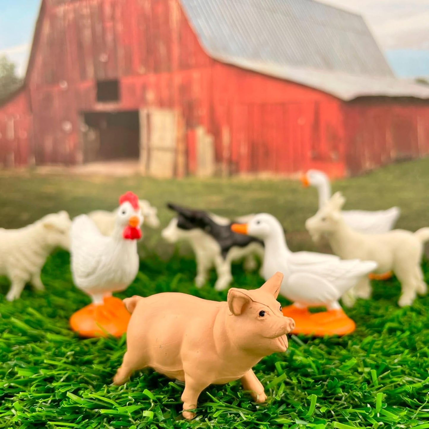Farm
