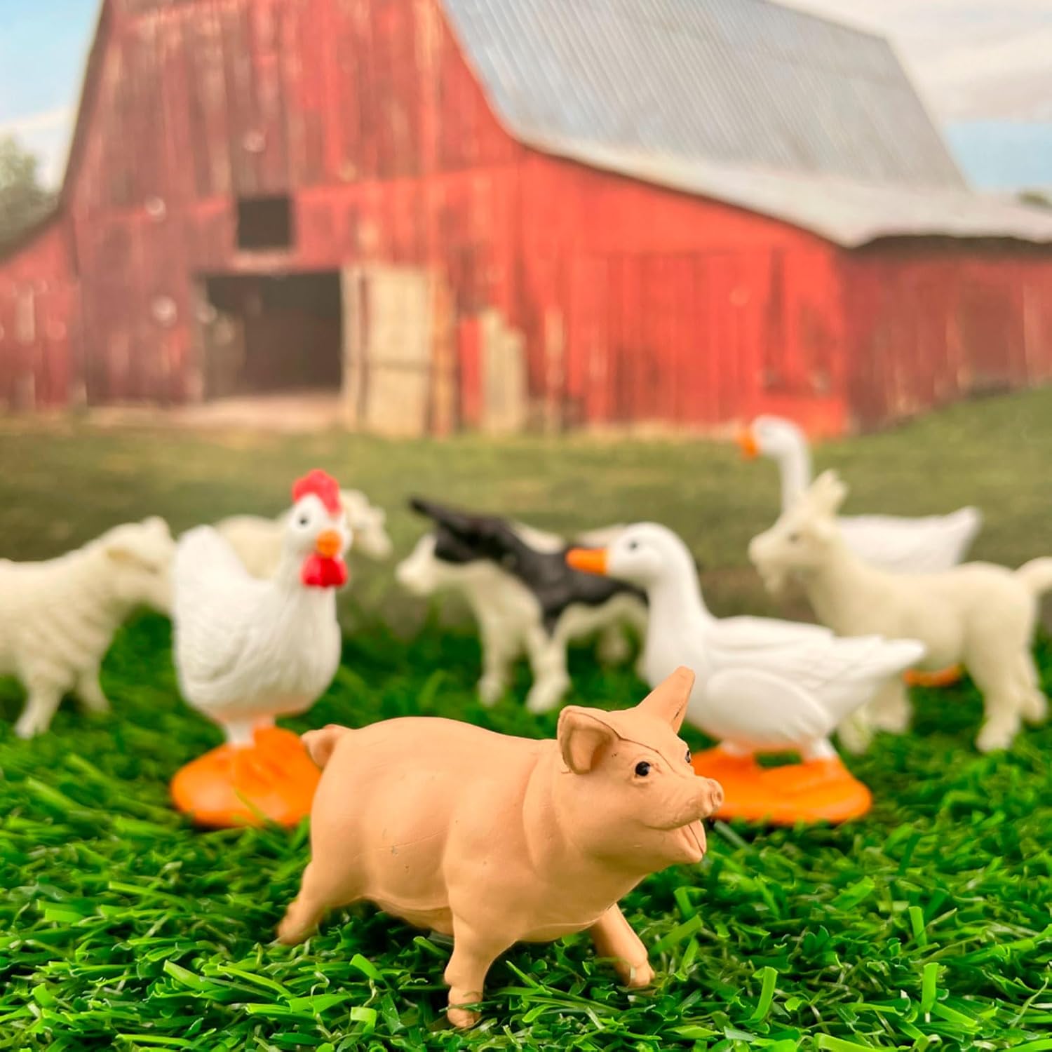 Farm