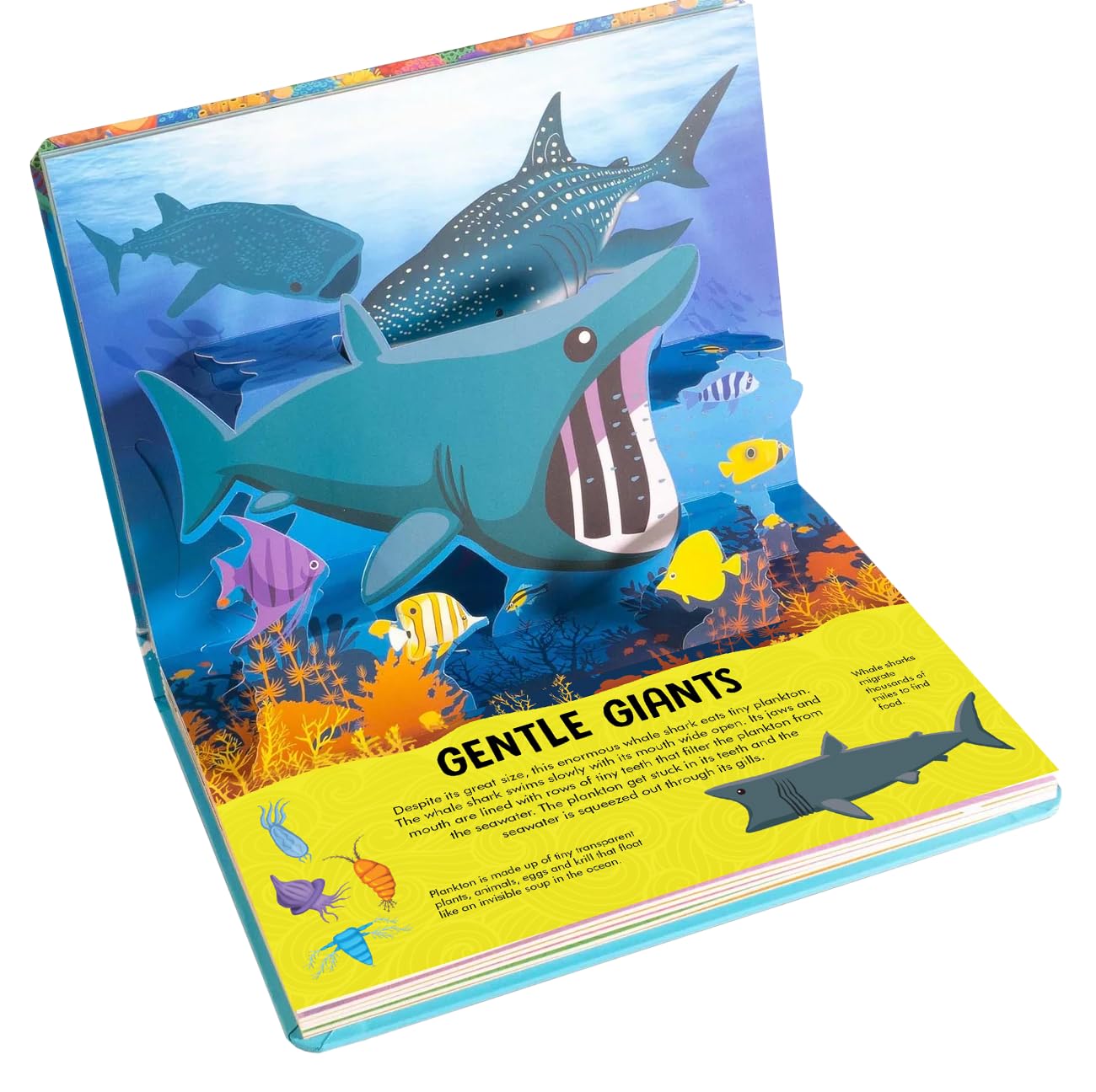 Nature Pop-Up! Sharks