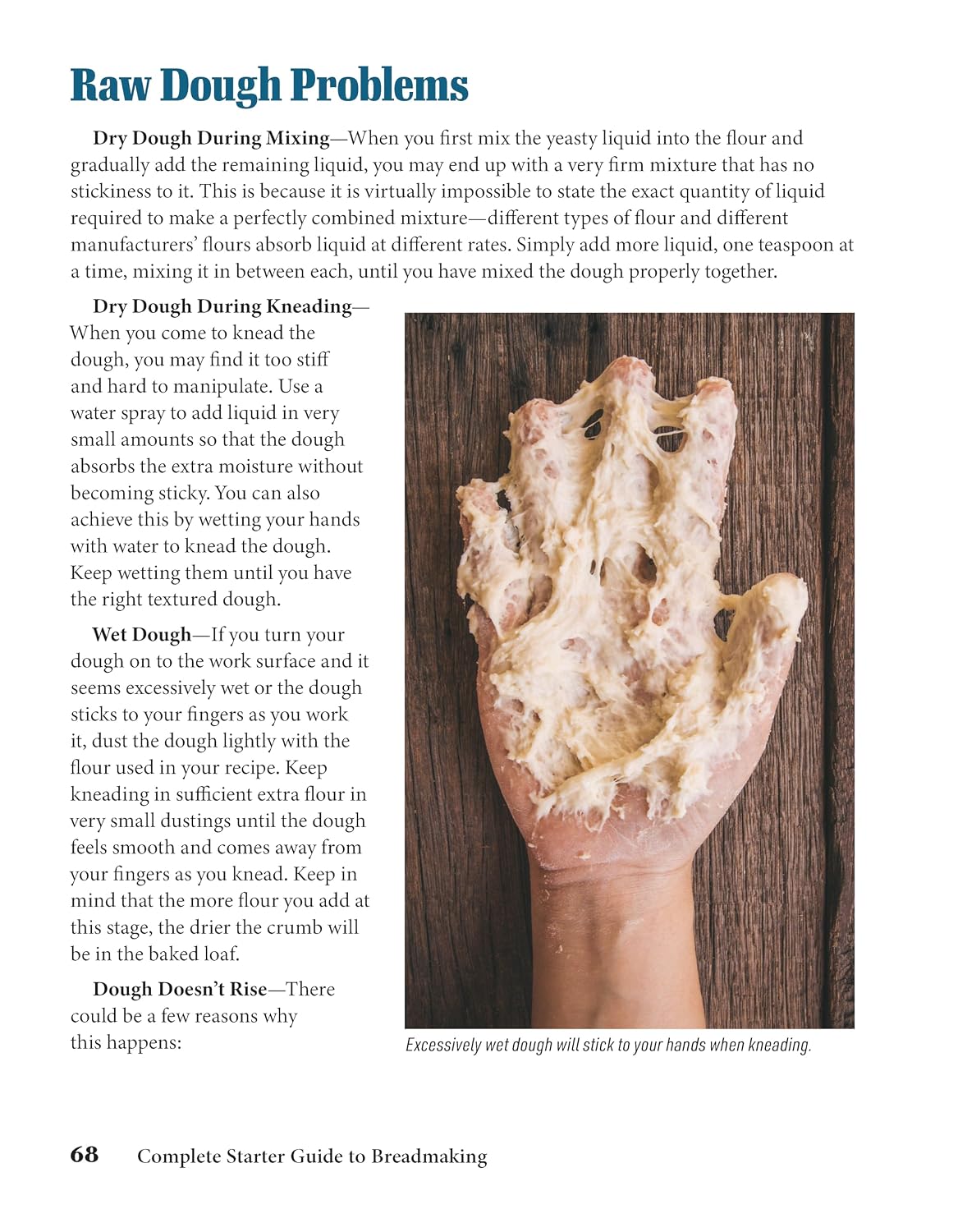 Complete Starter Guide to Making Bread