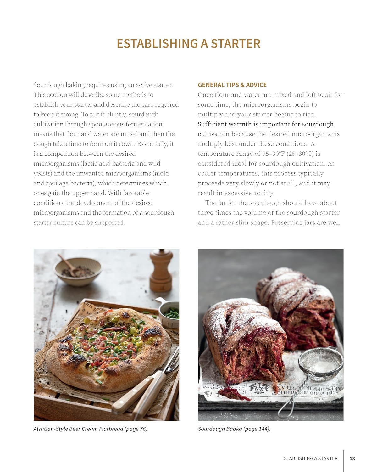 Artisan Sourdough Bread and Beyond