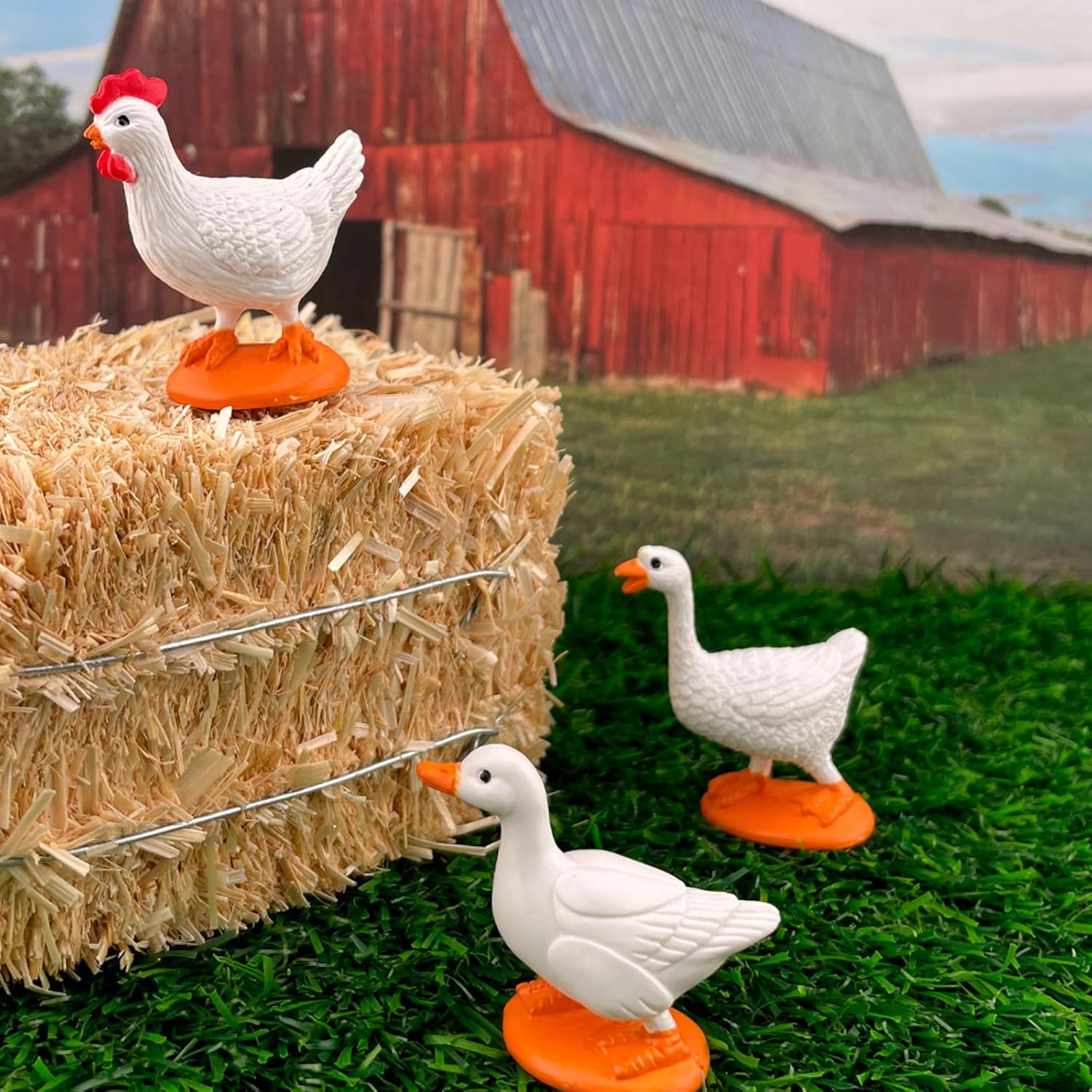 Farm