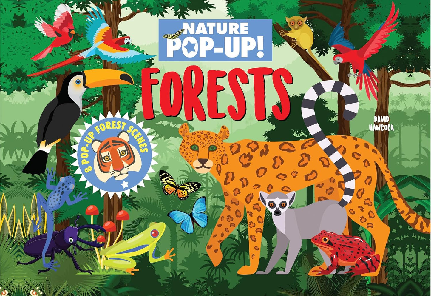 Nature Pop-Up! Forests