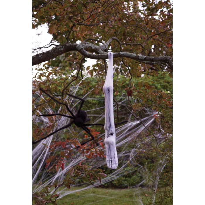 Spider Cocoon Body Limbs