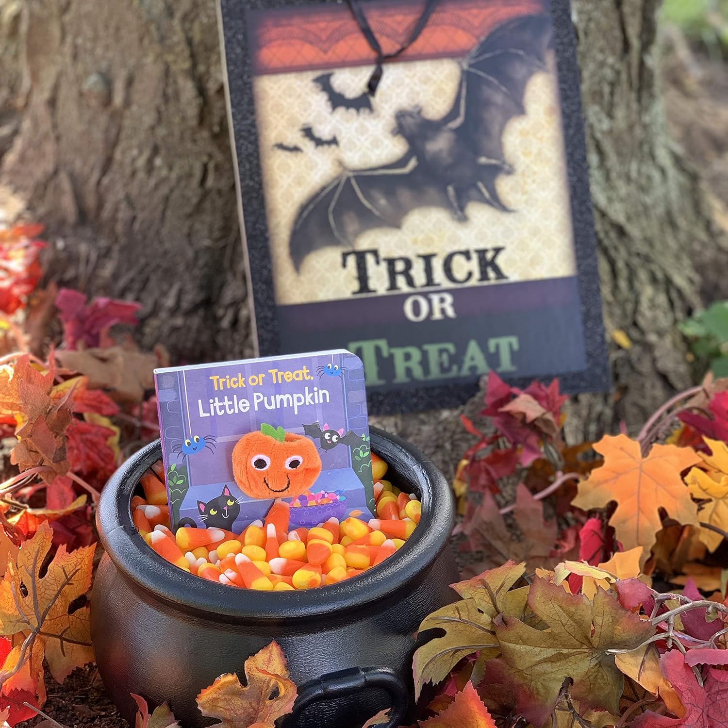Trick or Treat, Little Pumpkin