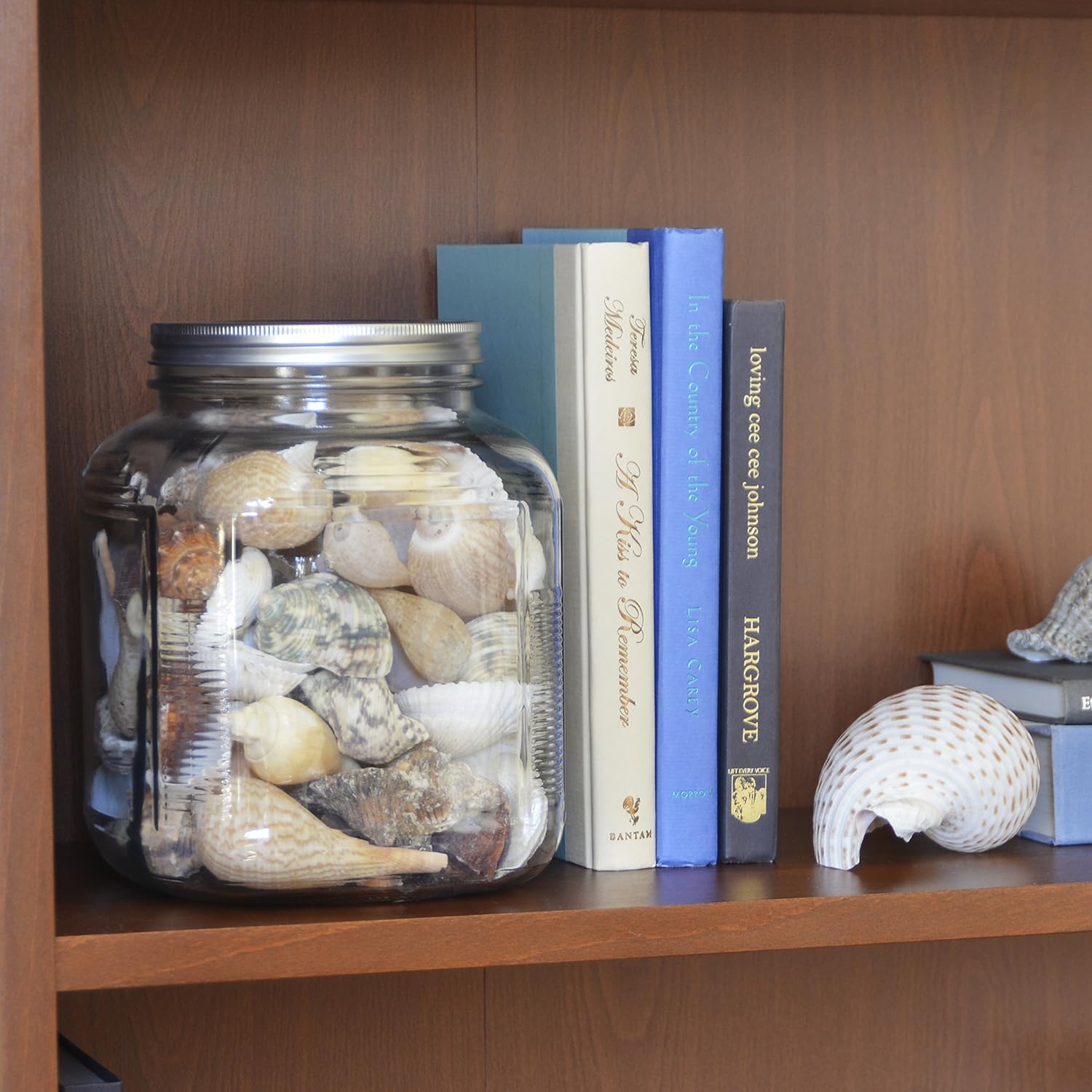 1 gal. Cracker Jar with/Brushed Metal Lid Clear