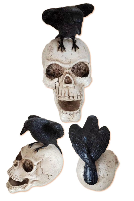4.75" HH Skull w/ Raven Decor