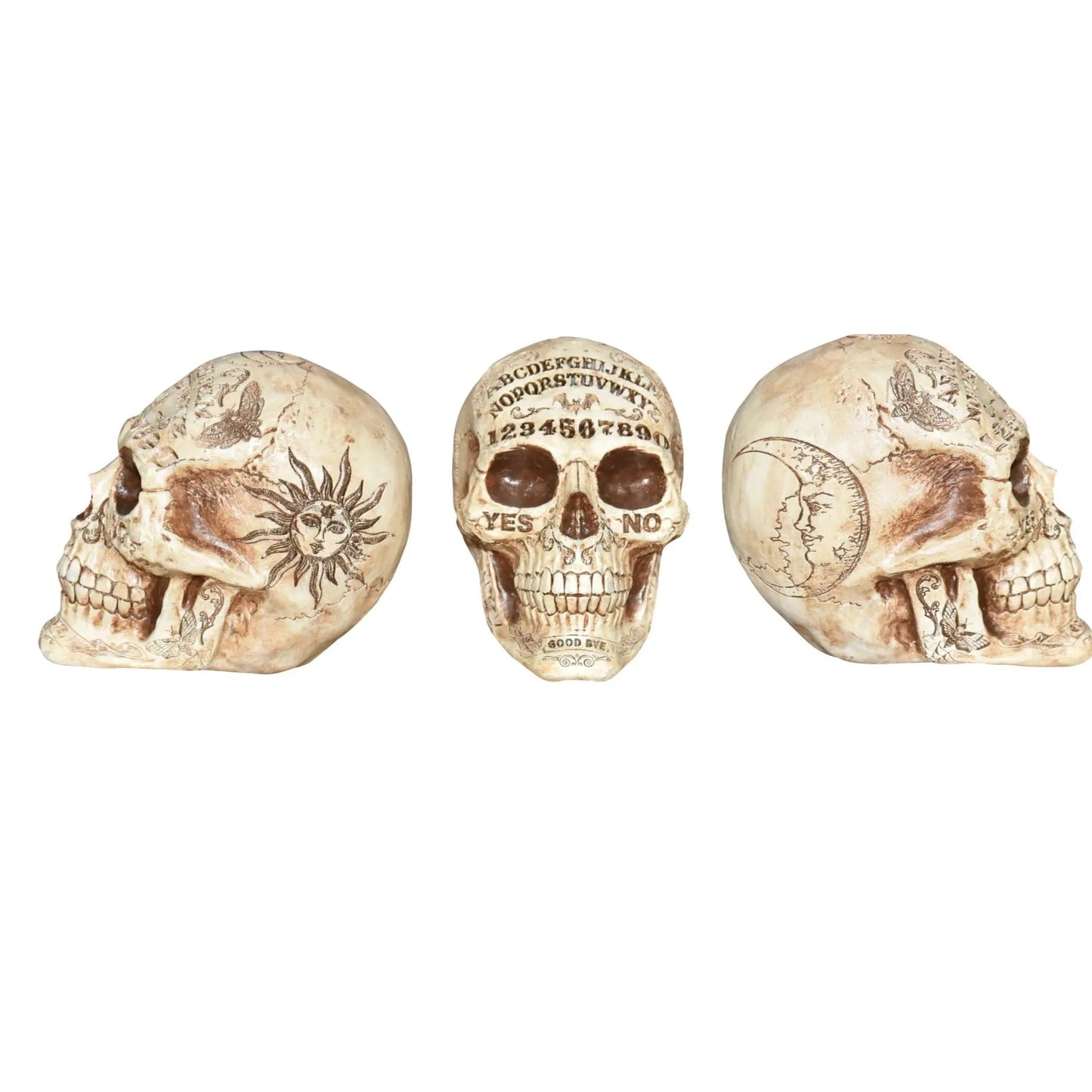 7" Fortune Telling Skull Numbers