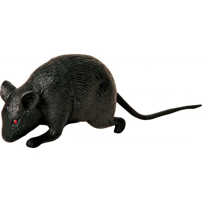 Mini Black Mice - 3