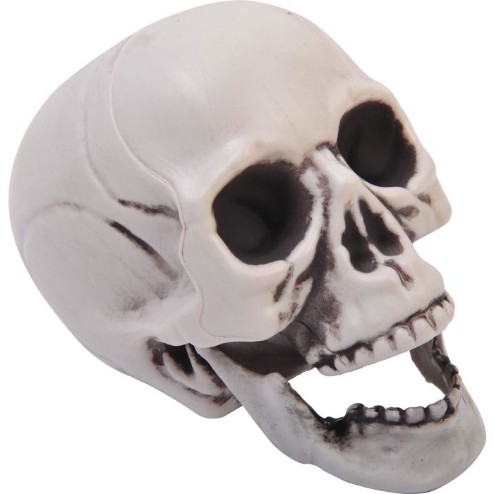 Calavera de 4" con mandíbula articulada en PDQ