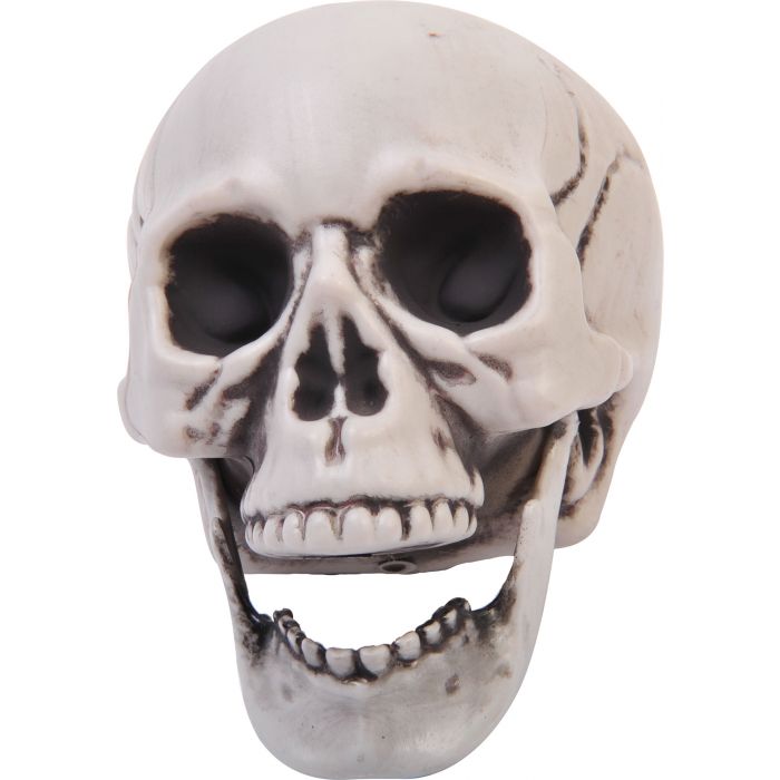 Calavera de 4" con mandíbula articulada en PDQ