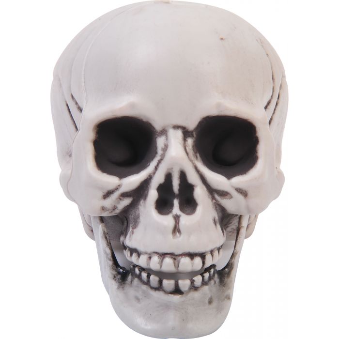 Calavera de 4" con mandíbula articulada en PDQ